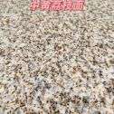 泰安黄金麻中黄荔枝面