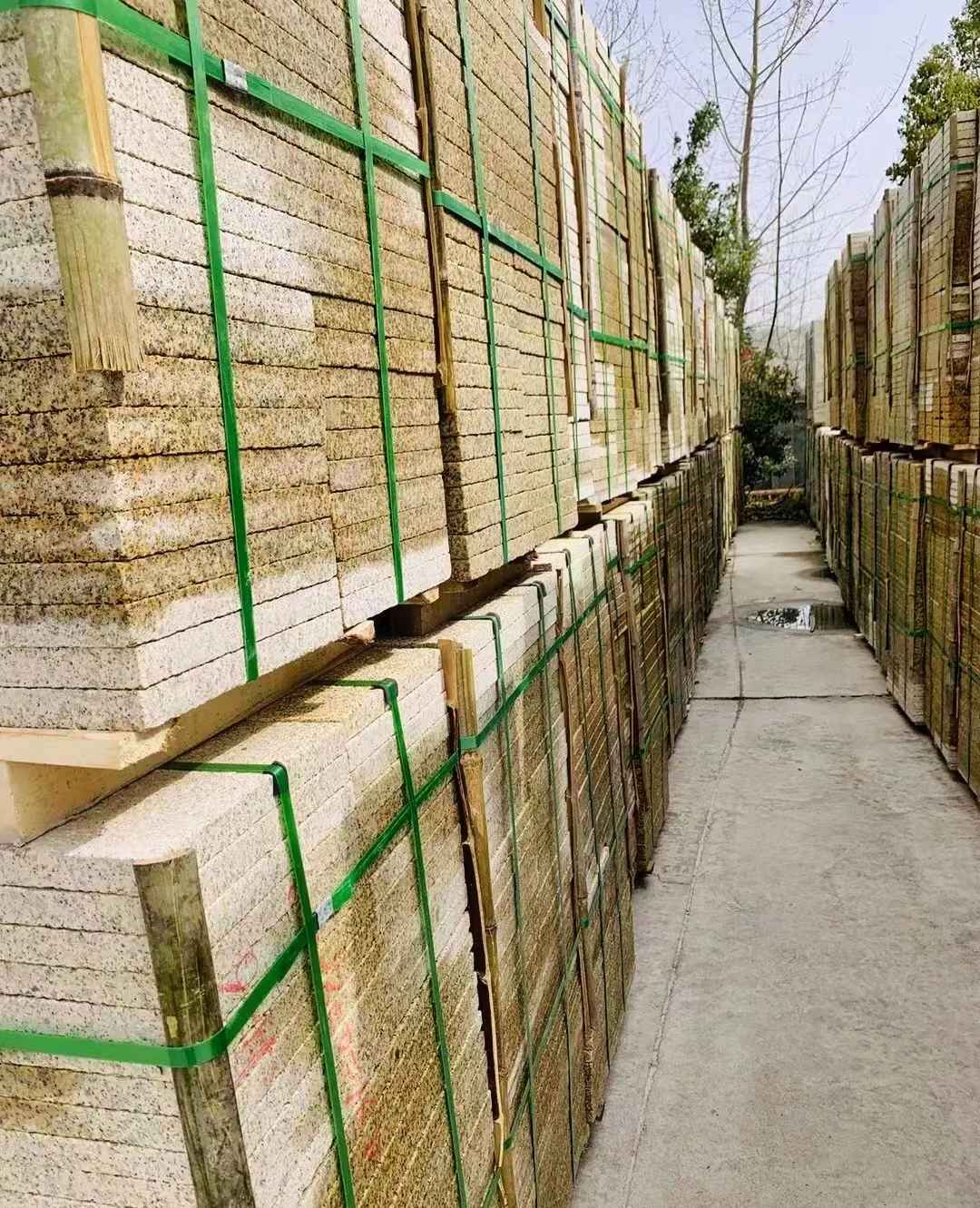 泰安 黄金麻花岗岩荔枝面地铺石