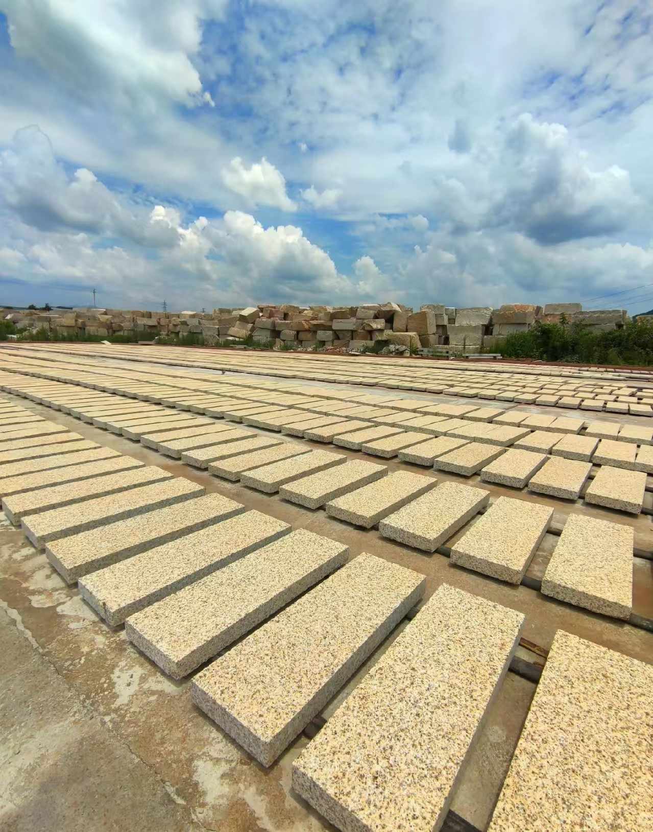 泰安 黄金麻荔枝面花岗岩石材地铺石防护中